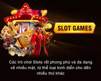 Chuyên gia lãnh đạo của 23vin code